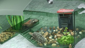 水龟缸