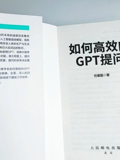 正的语法更加有效科学有效的使用人工智能向他提问，可以说也算入门书