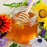 蜂蜜的储存方法和保质期？你做对了吗？