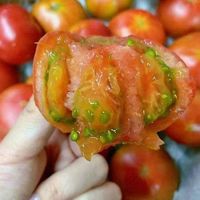新疆的沙漠铁皮柿子，简直是小时候的味道回归啊！