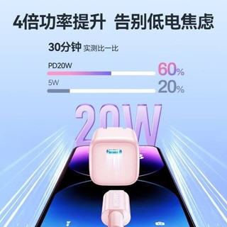 山泽苹果充电器头快充20W迷你折叠/30W Type-C数据线iPad 升级20W迷你充电头 天空蓝