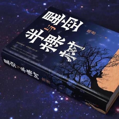 《贫民窟的百万富翁》在《星空与半颗树》下观赏《鳄鱼》