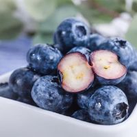 蓝莓不仅好吃，也可以减脂