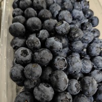 国产蓝莓，就看京丰味！