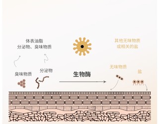 拯救爱宠沐浴难题就用雪豹留香狗狗沐浴露