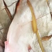 翔泰 冷冻海南金鲳鱼1.2kg /3-4条  海鱼  生鲜鱼类  海鲜水产