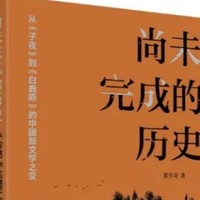 《尚未完成的历史》