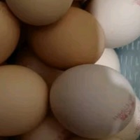 618种草好物之黄天鹅可生食鲜鸡蛋30枚礼盒装无菌蛋无腥味早餐溏心蛋