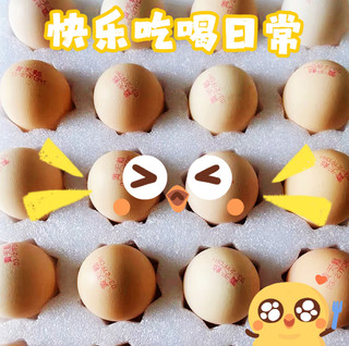 黄天鹅新鲜好蛋好营养！