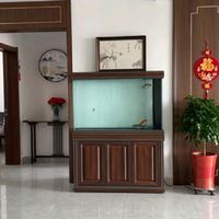 龙鱼的新家，汉霸超白玻璃鱼缸？