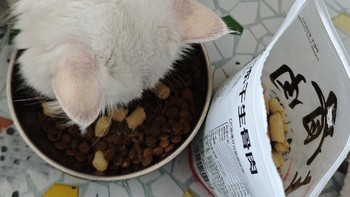 冻干盛宴！七彩缦猫零食，让爱宠更健康！
