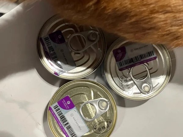 滋益巅峰（ZIWI）猫罐头85g鸡肉味主食湿粮成猫幼猫通用新西兰原装进口