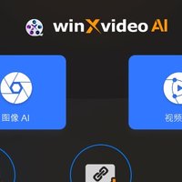 Winxvideo AI，国外超强的的Ai工具