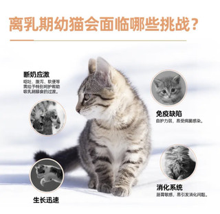 营养好吸收，猫咪爱吃，价格实惠。