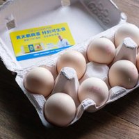 黄天鹅鸡蛋：品质与安全并重，无沙门氏菌保障