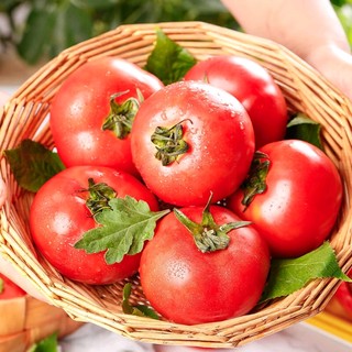 山东普罗旺西红柿——为爱加分，为健康加分