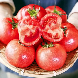 山东普罗旺西红柿——为爱加分，为健康加分