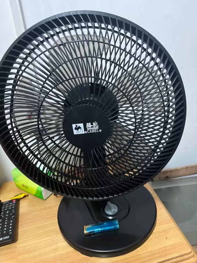 骆驼电风扇
