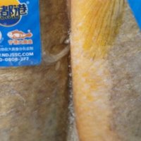 ￼￼三都港 冷冻宁德大黄鱼700g 2条装 黄花鱼 生鲜 鱼类 深海鱼 海鲜水产￼￼