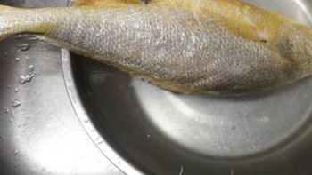 三都港 冷冻三去大黄鱼1kg/2条装 黄花鱼 深海鱼 生鲜 鱼类 海鲜水产