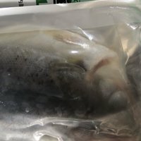 ￼￼三都港 冷冻三去海鲈鱼500g（内附料包）深海鱼 生鲜 鱼类 海鲜水产￼￼