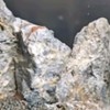 派乐特鱼缸青龙石、松皮石、溪流石造景石：自然之美，触手可及