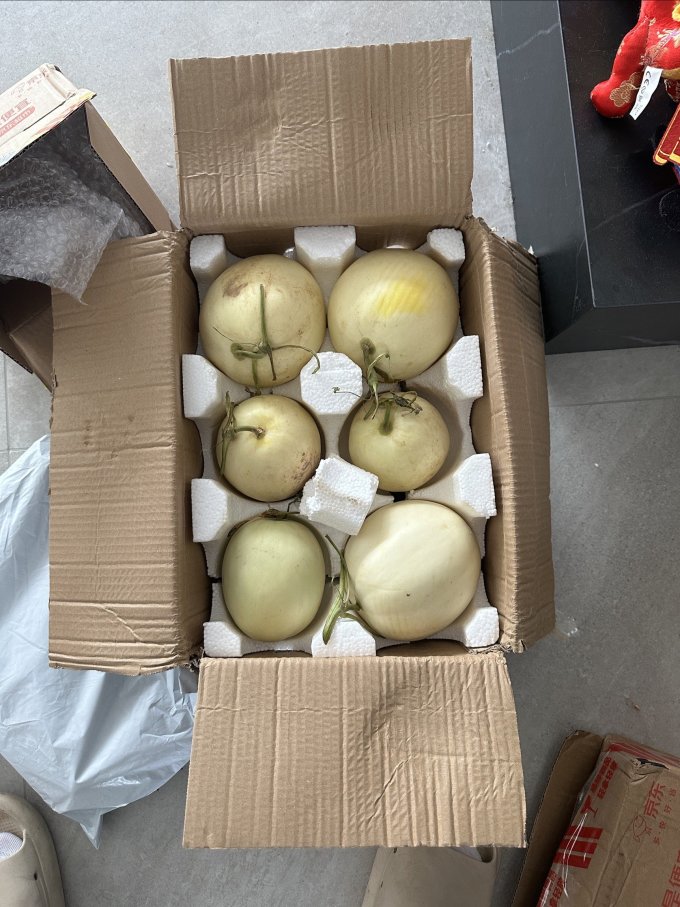 到手6个香瓜,当晚就切了一个,味道香甜,冰镇后更可口,发布笔记店家