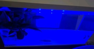 喜高超白玻璃鱼缸智能鱼缸免换水小型客厅水族箱一体式过滤氧气鱼缸