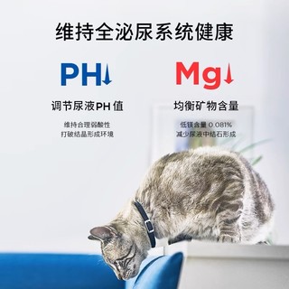 喵星人最爱的猫粮！