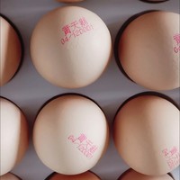 黄天鹅营养丰富的鸡蛋，黄天鹅达到可生食鸡蛋标准。
