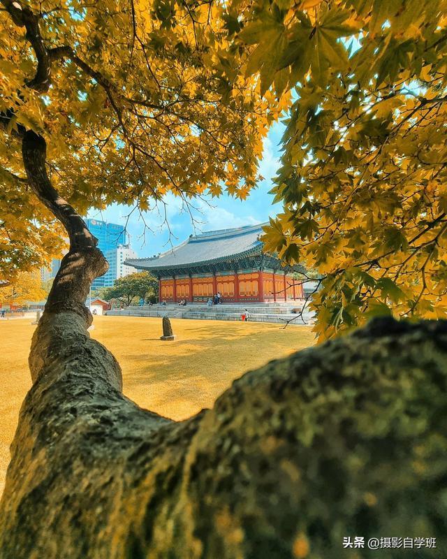 美极了，6个手机摄影技巧，风景照片就这么拍