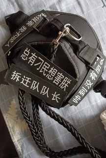 🐾🐶 宠德多狗绳，遛狗新体验！🚀