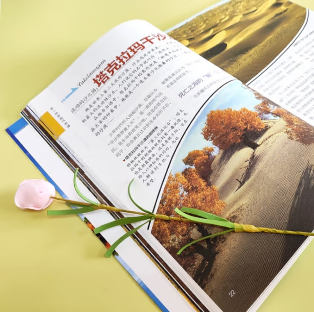 四川人民出版社自然科学怎么样领略新疆之美就看《有一种梦想叫新疆》_什么值得买