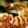 风物中国 篇六：中国哪人做“鲤鱼”最好吃？经评选，这10个地方上榜，有你家乡吗
