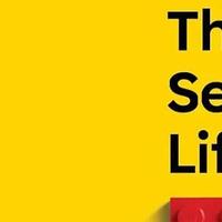 《乐高积木的秘密生活》将于2024年公开发行