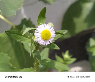 轻薄漂亮，真正耐用千元手机OPPO K12x入手