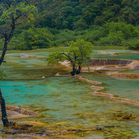 黄花机场至四川省黄龙县游玩，景区和美食不担心忽悠办卡才能去