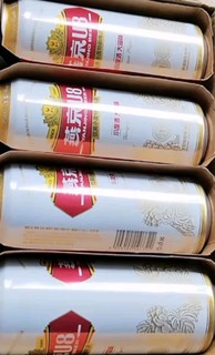 燕京啤酒 U8小度酒8度啤酒500ml*24听 清凉一夏 整箱装