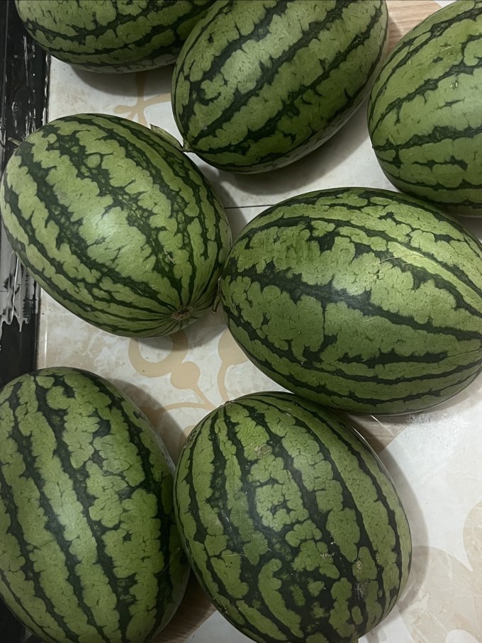 三块钱一个的小吊瓜吃到爽