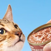 猫咪也爱金枪鱼！京东京造猫罐头，85克*24罐，让主子尽享美味