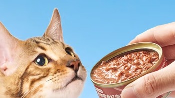 猫咪也爱金枪鱼！京东京造猫罐头，85克*24罐，让主子尽享美味