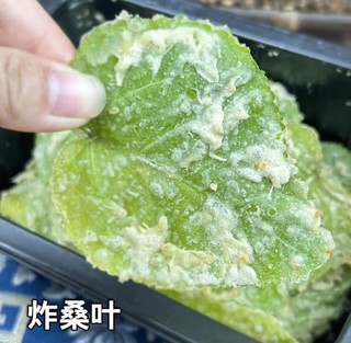 桑叶天妇罗，酥脆美味！