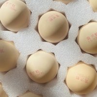 黄天鹅鸡蛋