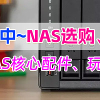 NAS选购推荐 | NAS老玩家透析NAS选购要点、入门、中高端NAS总有一款适合你！2024年NAS选购、型号推荐