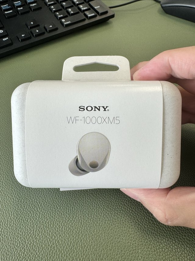 SONY 降噪豆 5 入手