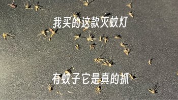 这个灭蚊灯可以的，用了一年多，已经给我抓蚊子无数