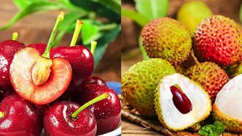 炎热的夏季来临，喜爱的樱桃、荔枝新鲜上市啦！你爱吃时令水果有哪些呢？