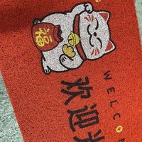 实用好物|丝圈地垫