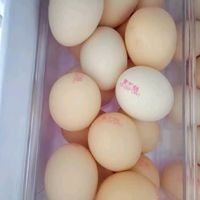大家的鸡蛋都是怎么做的