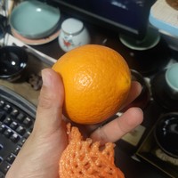 脐橙的秘密，你知多少？